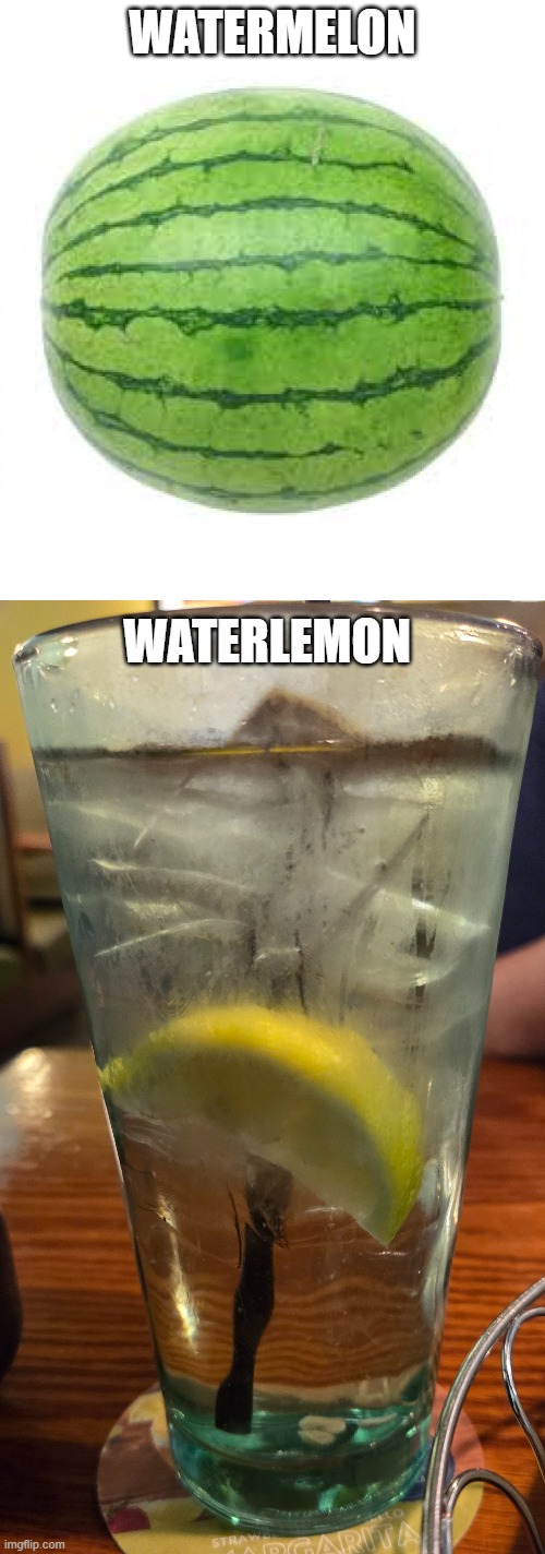 Watermelon; Waterlemon | image tagged in watermelon | made w/ Imgflip meme maker