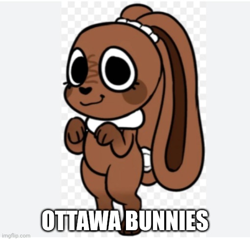 This should be a nice quidditch team in Ottawa! | Ottawa Bunnies | image tagged in cocoa,ottawa,quidditch,nql,memes | made w/ Imgflip meme maker