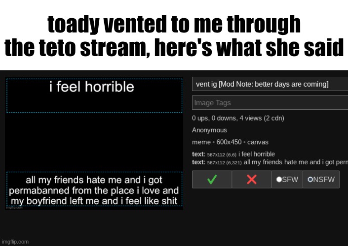 A lil checkup on toady's mental health | toady vented to me through the teto stream, here's what she said | image tagged in a checkup on toady's mental health | made w/ Imgflip meme maker