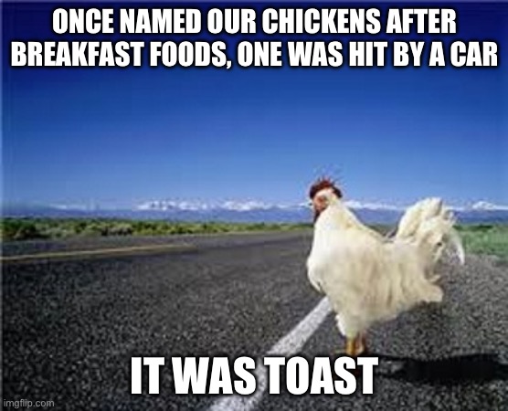 Toast the chicken | Once named our chickens after breakfast foods, one was hit by a car; It was toast | image tagged in why did the chicken cross the road,chicken,farming,funny memes,gifs,memes | made w/ Imgflip meme maker