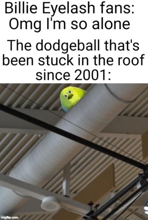 I stole this from @Flick7, so don't ask | image tagged in dodgeball | made w/ Imgflip meme maker