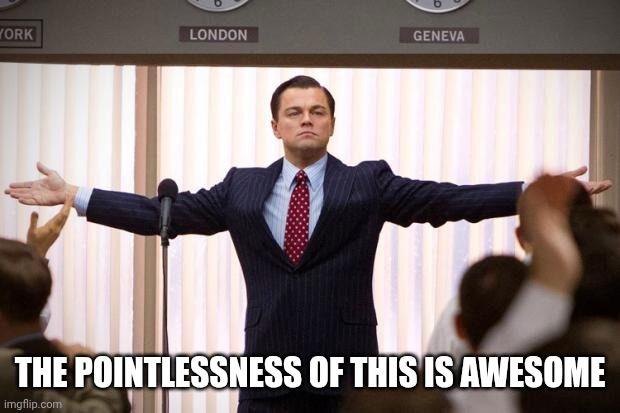 The pointlessness of this is awesome | image tagged in wolf of wallstreet | made w/ Imgflip meme maker