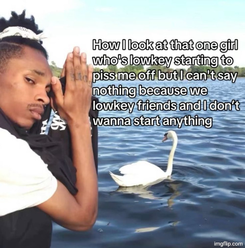 i'm not even gonna try to interact with what's happening, i'm just gonna shitpost for a bit and then leave | made w/ Imgflip meme maker