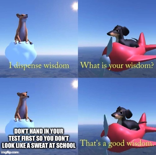 DOG OF WISDOM | Don’t hand in your test first so you don’t look like a sweat at school | image tagged in dogofwisdom | made w/ Imgflip meme maker