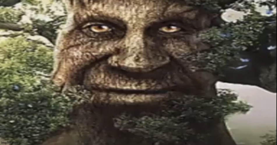 Wise mystical tree | image tagged in wise mystical tree | made w/ Imgflip meme maker