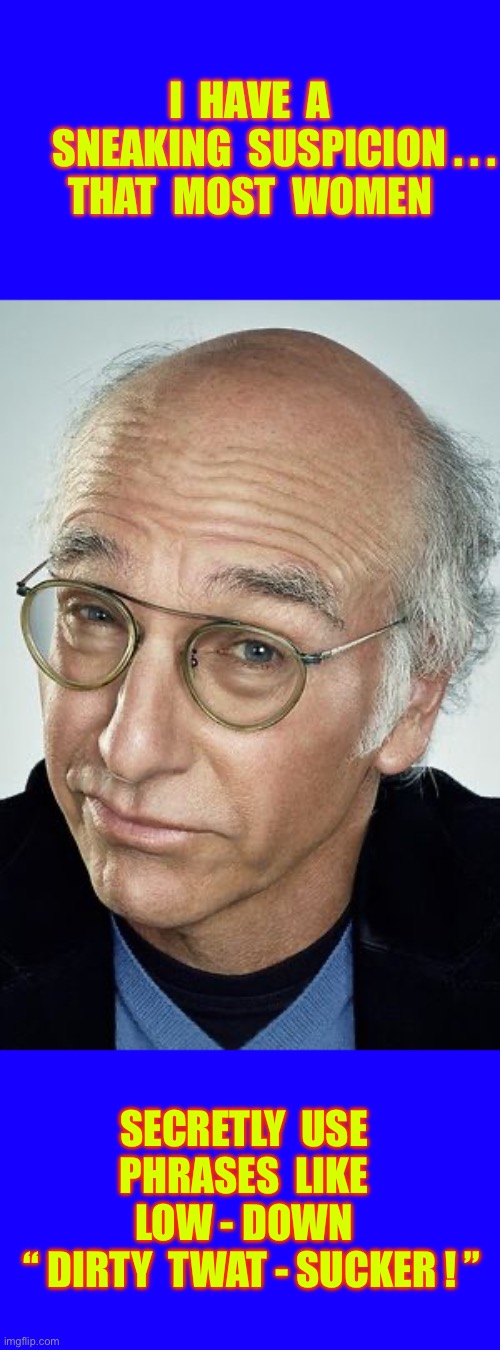 Not As Dumb As He Looks !!!  : ) | I  have  a
      Sneaking  Suspicion . . .
That  most  women; Secretly  Use  
 Phrases  like 
 low - down 
  “ dirty  Twat - sucker ! ” | image tagged in pretty cool larry david | made w/ Imgflip meme maker