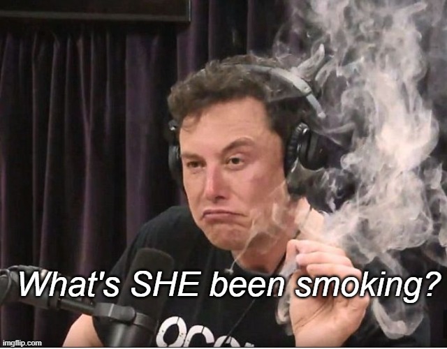 Elon Musk smoking a joint | What's SHE been smoking? | image tagged in elon musk smoking a joint | made w/ Imgflip meme maker