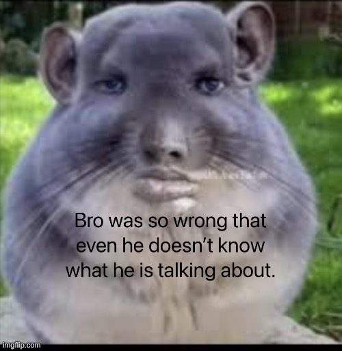 New image | image tagged in msmg | made w/ Imgflip meme maker