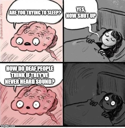 think this through | yes, now shut up; Are you trying to sleep? How do deaf people think if they've never heard sound? | image tagged in trying to sleep,deaf,hearing,thinking,struggling,brain before sleep | made w/ Imgflip meme maker