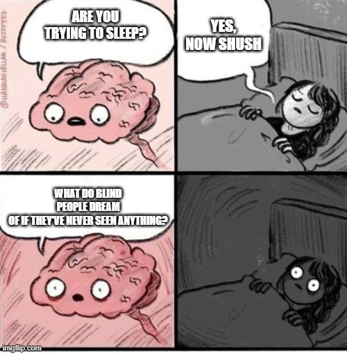 trying to sleep? | Are you trying to sleep? yes, now shush; What do Blind people dream of if they've never seen anything? | image tagged in trying to sleep,blind,dreaming,dreams,think about it,struggle | made w/ Imgflip meme maker