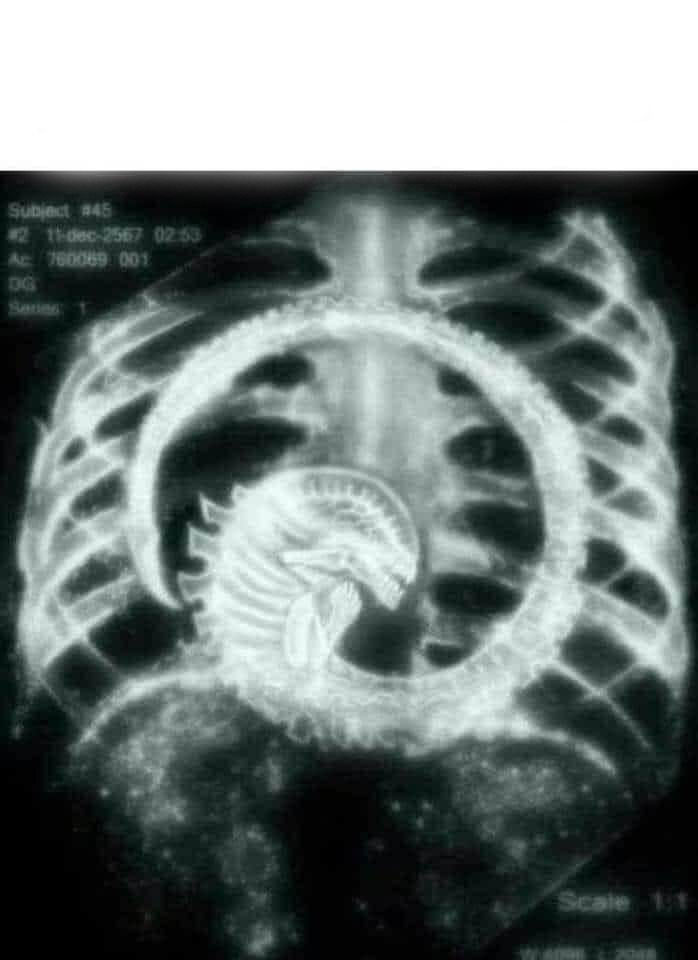 Alien Inside Blank Meme Template