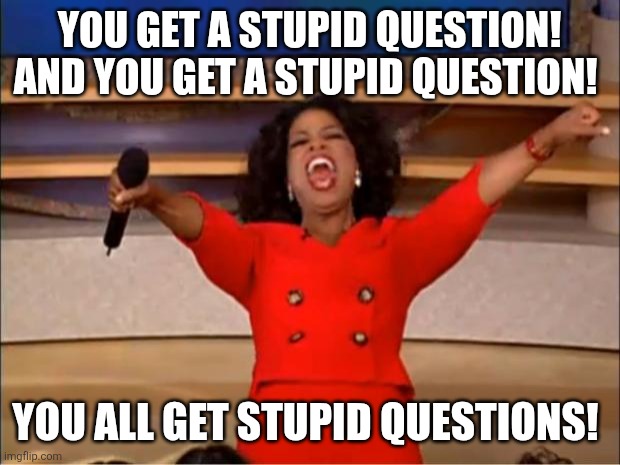 You get a stupid question! And you get a stupid question! You all get stupid questions! | image tagged in memes,oprah you get a | made w/ Imgflip meme maker
