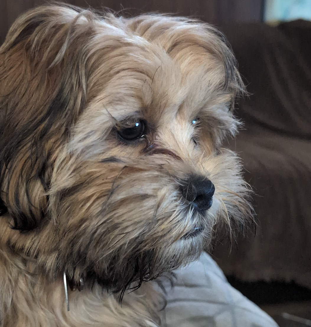 High Quality LaRue Blank Meme Template