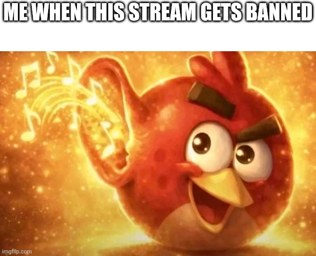 Angry Bird with ear open | Me when this stream gets banned | image tagged in angry bird with ear open | made w/ Imgflip meme maker