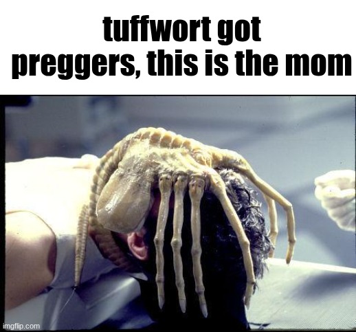 he's getting slimed | tuffwort got preggers, this is the mom | image tagged in facehugger | made w/ Imgflip meme maker