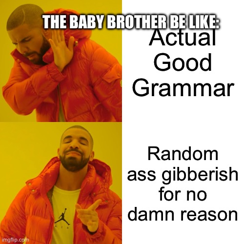 Actual Good Grammar Random ass gibberish for no damn reason The baby brother be like: | image tagged in memes,drake hotline bling | made w/ Imgflip meme maker
