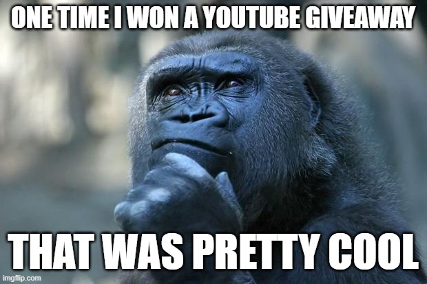 this is the video in case ur wondering: https://www.youtube.com/watch?v=S1n79ZaGVCU | one time I won a youtube giveaway; that was pretty cool | image tagged in deep thoughts,icarly interesting,interesting,lol so funny,lego,gorilla | made w/ Imgflip meme maker
