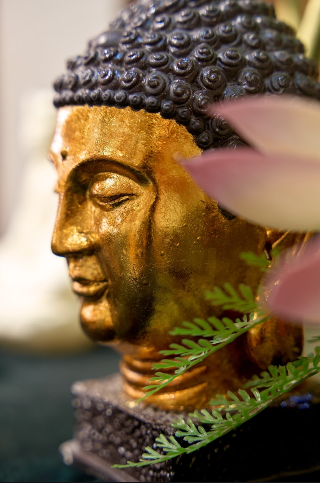 Budd Blank Meme Template