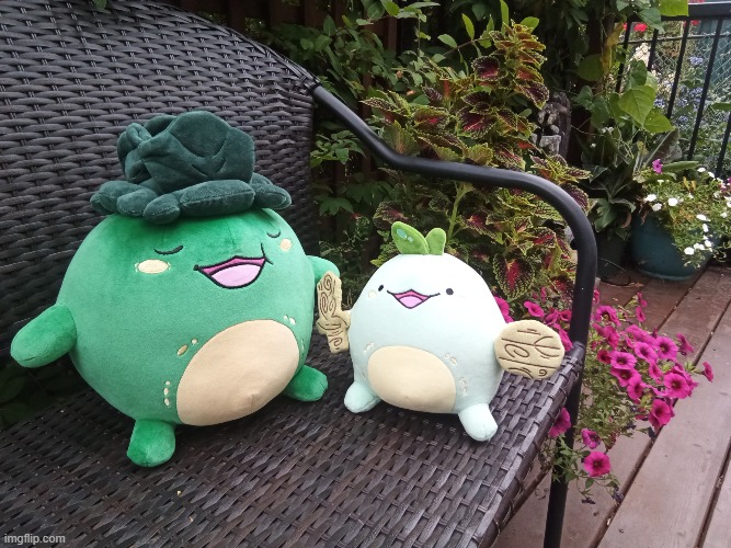 The Sprouts near flowers | image tagged in sprouts,quest,momma,bench,plants,flowers | made w/ Imgflip meme maker