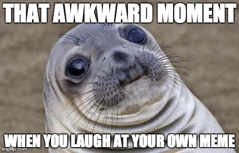 THAT AWKWARD MOMENT WHEN YOU LAUGH AT YOUR OWN MEME | image tagged in memes,awkward moment sealion | made w/ Imgflip meme maker