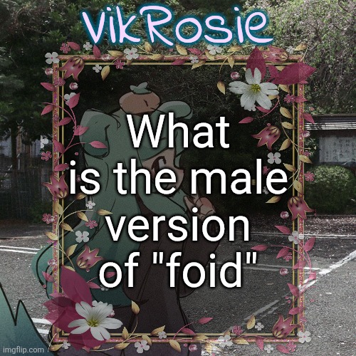it's not "chud" | What is the male version of "foid" | image tagged in rose's tanger temp | made w/ Imgflip meme maker