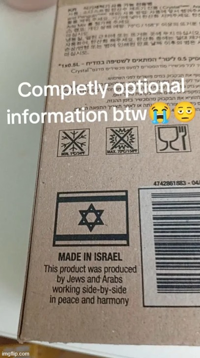 "This product was pruduced by JEWS AND ARABS working SIDE-BY-SIDE in PEACE AND HARMONY" *LIE BUZZER* | made w/ Imgflip meme maker