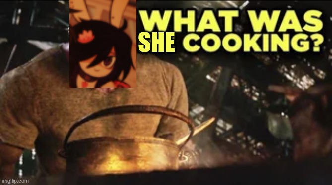 What Was He Cooking? | she | image tagged in what was he cooking | made w/ Imgflip meme maker