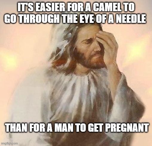 Jesus | It's easier for a camel to go through the eye of a needle; Than for a man to get pregnant | image tagged in jesus | made w/ Imgflip meme maker
