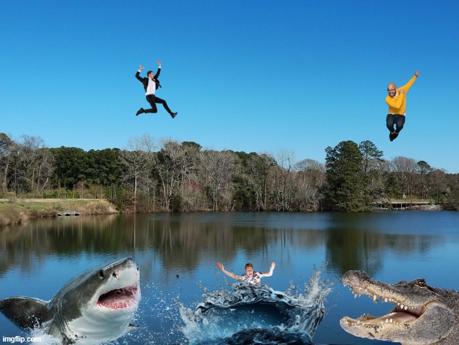 No swimming! | image tagged in swimming,lake,sharks,alligators,diving,bad ideas | made w/ Imgflip meme maker