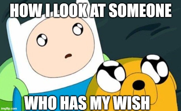 How i look at someone who has my wish frfr... | How i look at someone; who has my wish | image tagged in animal jam | made w/ Imgflip meme maker