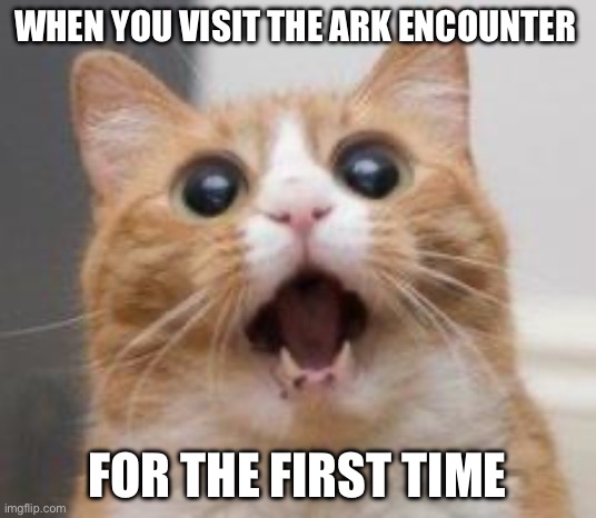 When you see the Ark encounter for the first time | When you visit the Ark encounter; For the first time | image tagged in wow,christianity,creationism,evangelicals,gifs,memes | made w/ Imgflip meme maker