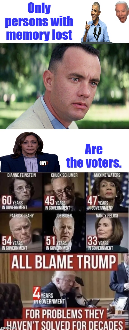 At least Trump is trying | Only persons with memory lost; Are the voters. JOY | image tagged in memes,and just like that | made w/ Imgflip meme maker