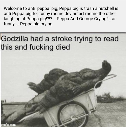 What the hell | image tagged in godzilla | made w/ Imgflip meme maker