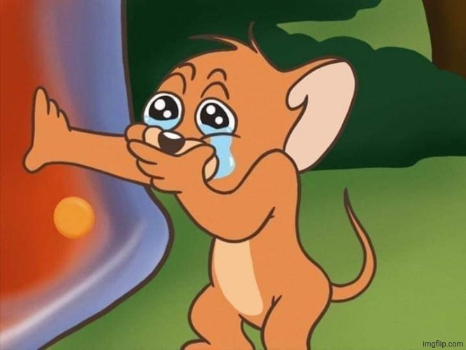 jerry crying | image tagged in jerry crying | made w/ Imgflip meme maker
