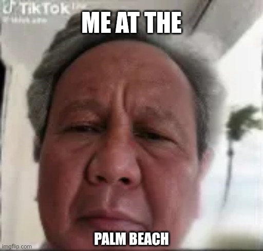 Me at the; Palm beach | image tagged in memes,palm,beach | made w/ Imgflip meme maker