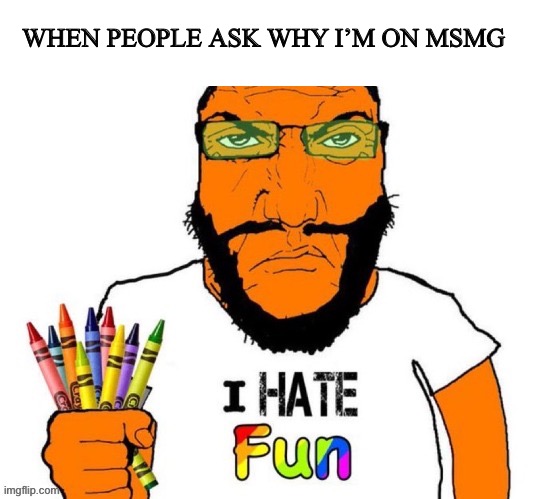 They are so slow to respond lol | When people ask why I’m on msmg | image tagged in i hate fun,lol,funny | made w/ Imgflip meme maker