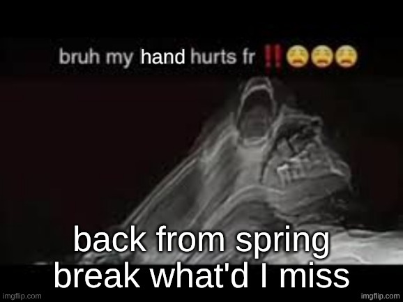also I'm deleting this temp as my hand is no longer injured | back from spring break what'd I miss | image tagged in my hand hurts fr | made w/ Imgflip meme maker