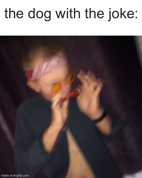 *harmonica* | the dog with the joke: | image tagged in harmonica | made w/ Imgflip meme maker