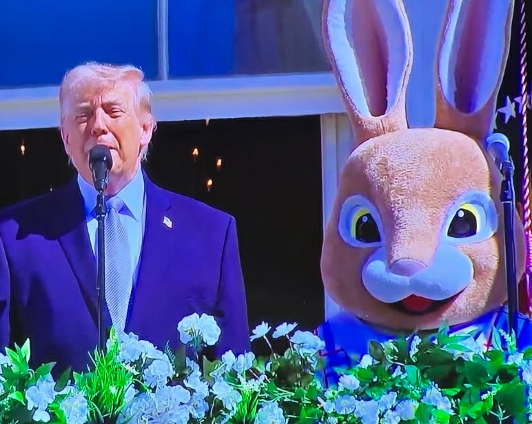 High Quality Bunny Blank Meme Template