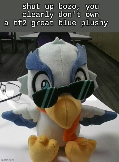 shut up bozo, you clearly don't own a tf2 great blue plushy | made w/ Imgflip meme maker