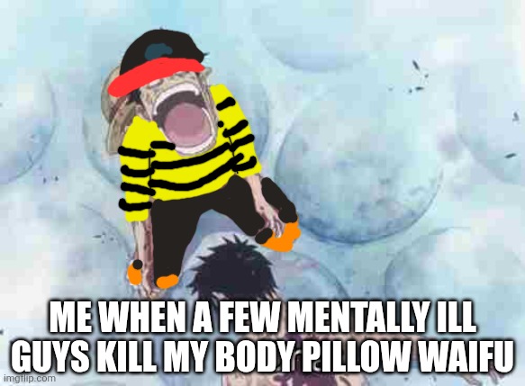 Forever gone | Me when a few mentally ill guys kill my body pillow waifu | image tagged in dead chat one piece,item asylum | made w/ Imgflip meme maker