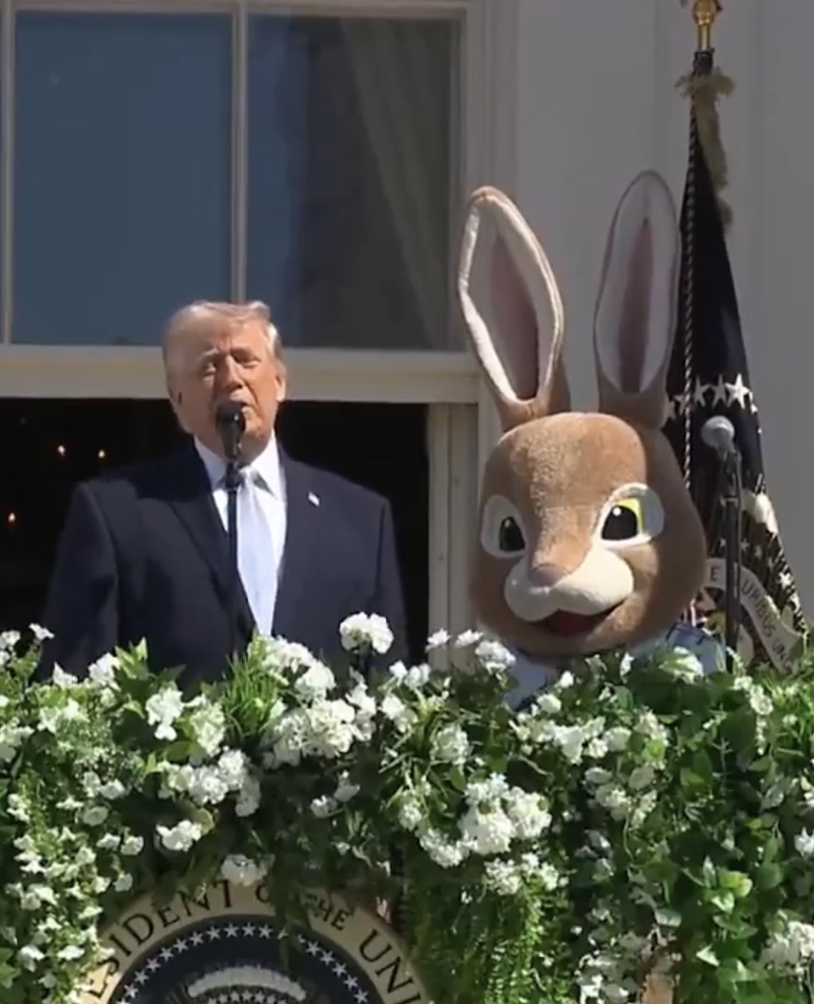 Trump Bunny Blank Meme Template