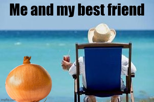Wonderful days together | Me and my best friend | image tagged in retirement,onion,onions,memes,vegetable,vacation | made w/ Imgflip meme maker