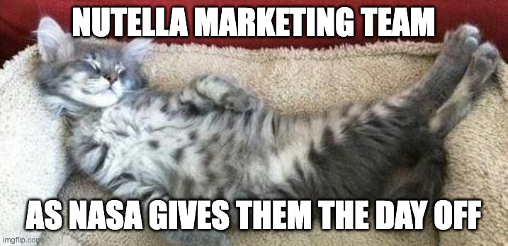NUTELLA MARKETING TEAM | NUTELLA MARKETING TEAM; as nasa gives them the day off | image tagged in relaxed cat,marketing,funny,nasa | made w/ Imgflip meme maker