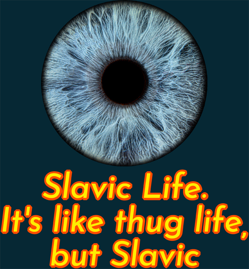 Slavic Life. It's like thug life, but Slavic Blank Meme Template