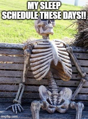 sleeppp | my sleep schedule these days!! | image tagged in memes,waiting skeleton | made w/ Imgflip meme maker