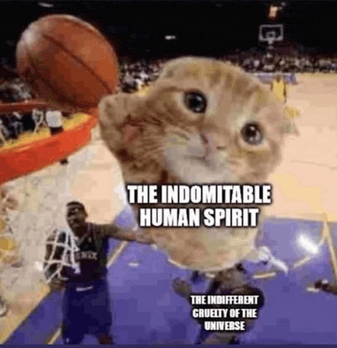 Indomitable human spirit cat Blank Meme Template