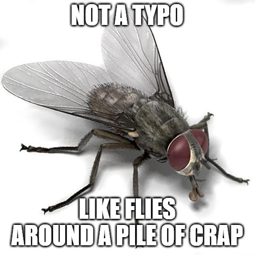 Scumbag House Fly | Not a typo like flies around a pile of crap | image tagged in scumbag house fly | made w/ Imgflip meme maker