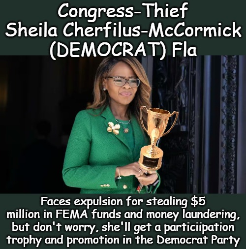 Pay no attention to congressional corruption, focus on TRUMP and EPSTEIN!!! | Congress-Thief Sheila Cherfilus-McCormick (DEMOCRAT) Fla; Faces expulsion for stealing $5 million in FEMA funds and money laundering, but don't worry, she'll get a particiipation trophy and promotion in the Democrat Party | image tagged in sheila cherfilus-mccormick of florida | made w/ Imgflip meme maker