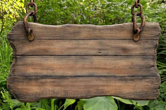 Blank wooden sign Blank Meme Template